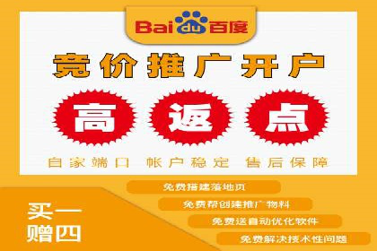 百度竞价排名：实战案例告诉你如何实现精准推广