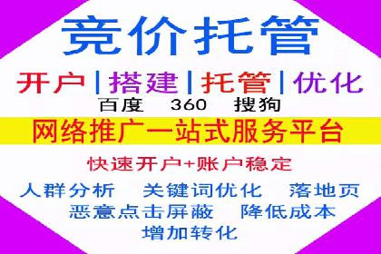 成功案例分享：SEM竞价代运营策略解析